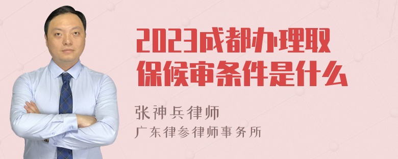 2023成都办理取保候审条件是什么