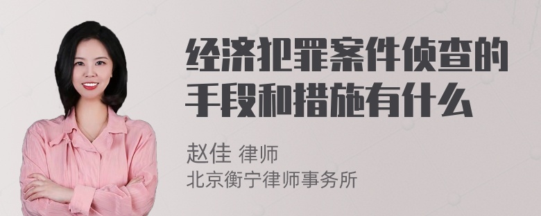 经济犯罪案件侦查的手段和措施有什么