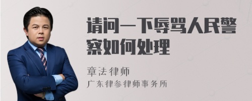 请问一下辱骂人民警察如何处理