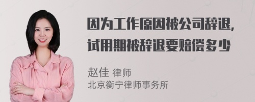 因为工作原因被公司辞退，试用期被辞退要赔偿多少