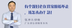 有个泼妇老在我家赖着不走，该怎么办？急！