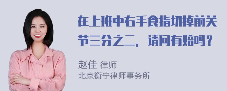 在上班中右手食指切掉前关节三分之二，请问有赔吗？