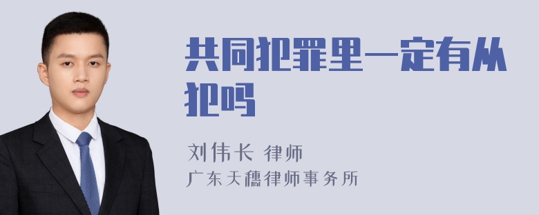 共同犯罪里一定有从犯吗