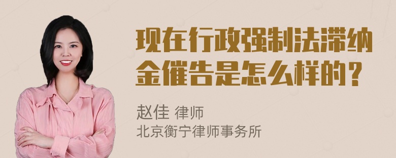 现在行政强制法滞纳金催告是怎么样的？