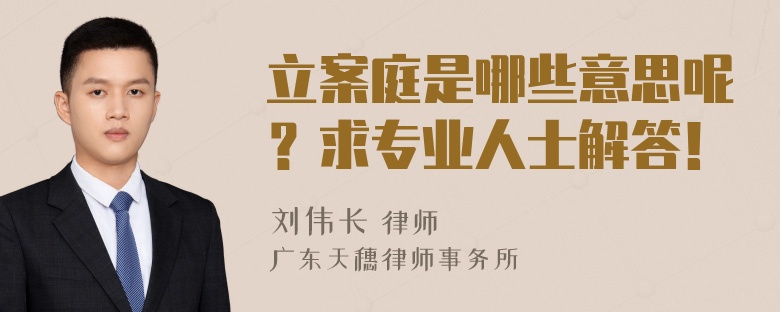 立案庭是哪些意思呢？求专业人士解答！