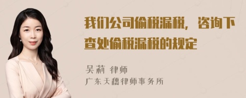 我们公司偷税漏税，咨询下查处偷税漏税的规定