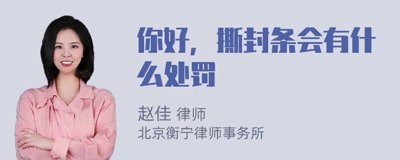 你好，撕封条会有什么处罚