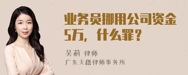 业务员挪用公司资金5万，什么罪？