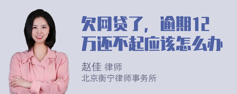 欠网贷了，逾期12万还不起应该怎么办