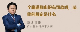 个税逾期申报有罚款吗，法律的规定是什么