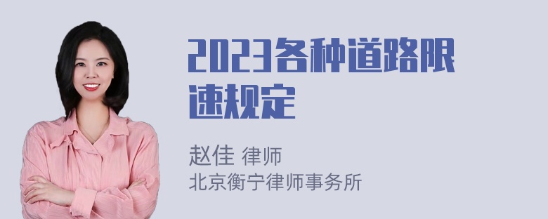 2023各种道路限速规定