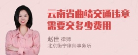 云南省曲靖交通违章需要交多少费用