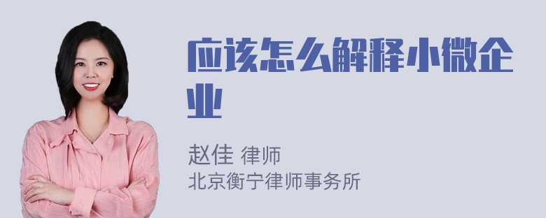 应该怎么解释小微企业