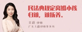 民法典规定离婚小孩归谁，谁抚养。