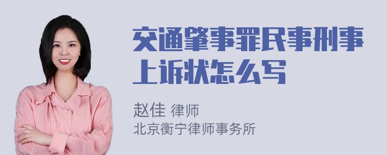 交通肇事罪民事刑事上诉状怎么写