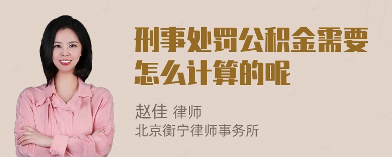 刑事处罚公积金需要怎么计算的呢