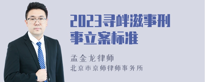 2023寻衅滋事刑事立案标准