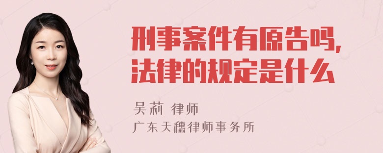 刑事案件有原告吗，法律的规定是什么