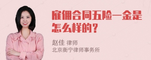 雇佣合同五险一金是怎么样的？