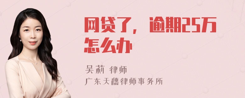 网贷了，逾期25万怎么办