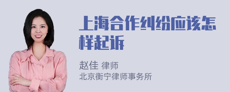 上海合作纠纷应该怎样起诉