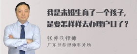 我是未婚生育了一个孩子，是要怎样样去办理户口了？