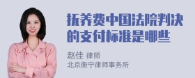 抚养费中国法院判决的支付标准是哪些