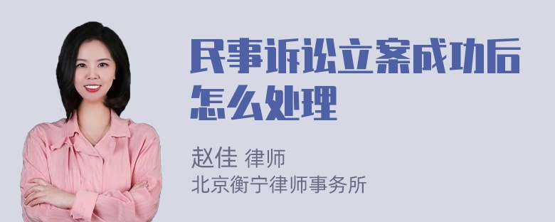 民事诉讼立案成功后怎么处理