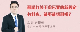 刑法九关于贪污罪的新规定有什么，能不能缓刑呢？