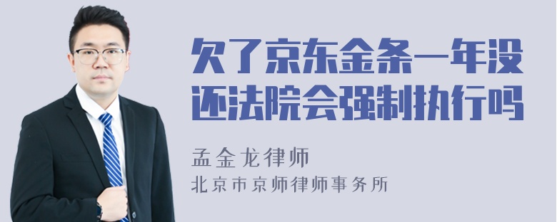 欠了京东金条一年没还法院会强制执行吗