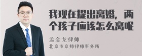 我现在提出离婚，两个孩子应该怎么离呢