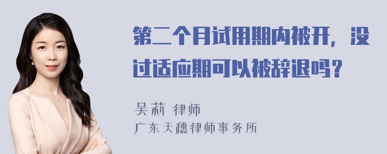 第二个月试用期内被开，没过适应期可以被辞退吗？