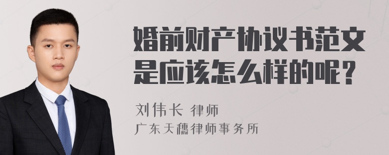 婚前财产协议书范文是应该怎么样的呢？