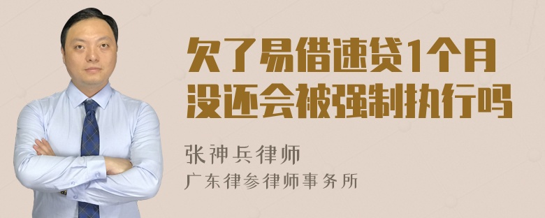 欠了易借速贷1个月没还会被强制执行吗