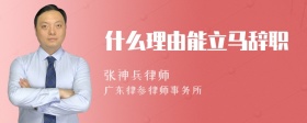 什么理由能立马辞职