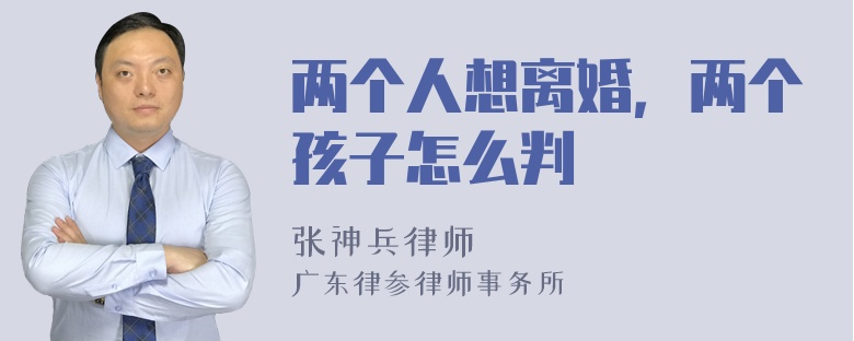 两个人想离婚，两个孩子怎么判