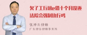 欠了工行融e借十个月没还法院会强制执行吗