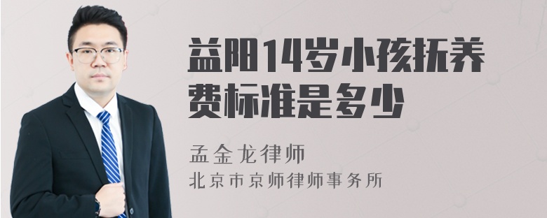 益阳14岁小孩抚养费标准是多少