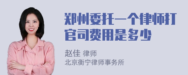 郑州委托一个律师打官司费用是多少