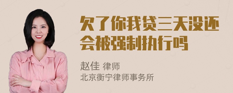 欠了你我贷三天没还会被强制执行吗