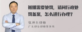 被抓需要处罚，请问行政处罚备案，怎么进行办理？