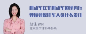 机动车在非机动车道逆向行驶撞死摩托车人负什么贵任