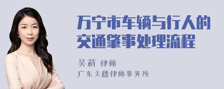 万宁市车辆与行人的交通肇事处理流程