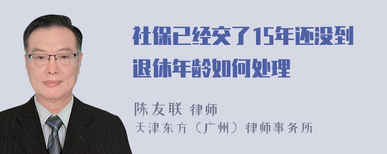 社保已经交了15年还没到退休年龄如何处理