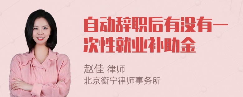 自动辞职后有没有一次性就业补助金