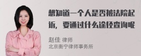 想知道一个人是否被法院起诉，要通过什么途径查询呢