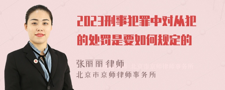 2023刑事犯罪中对从犯的处罚是要如何规定的