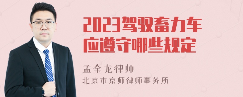 2023驾驭畜力车应遵守哪些规定