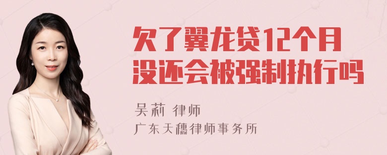 欠了翼龙贷12个月没还会被强制执行吗