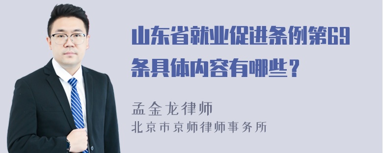 山东省就业促进条例第69条具体内容有哪些？